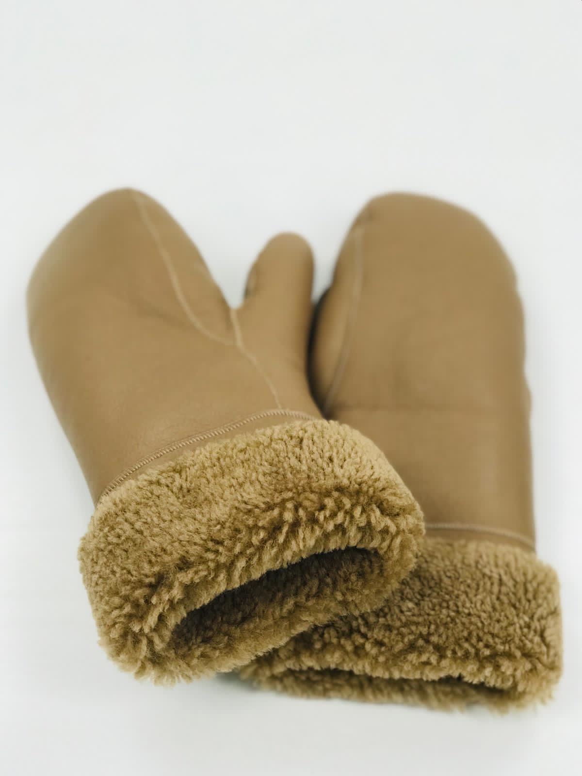 Accessories and Home Collection