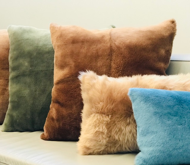 Accessories and Home Collection